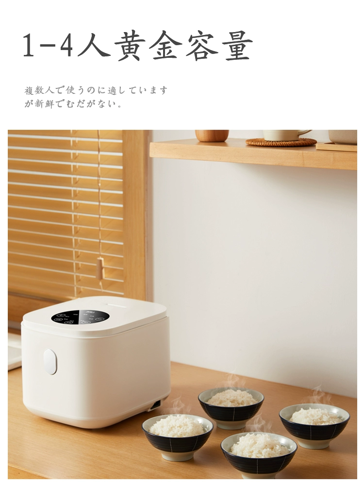 rice cooker